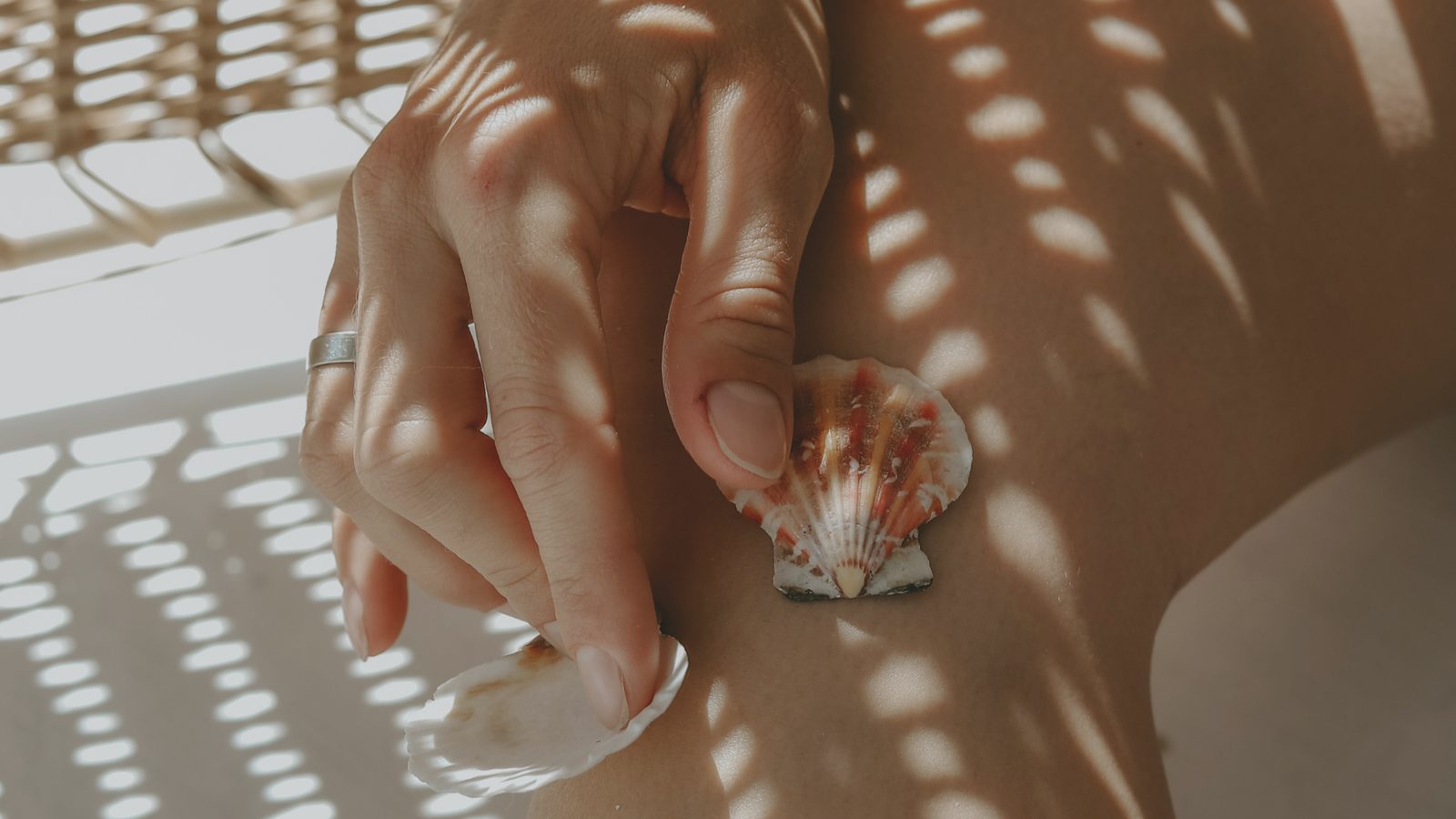 A woman's hand holding two seashells in dappled sunlight
