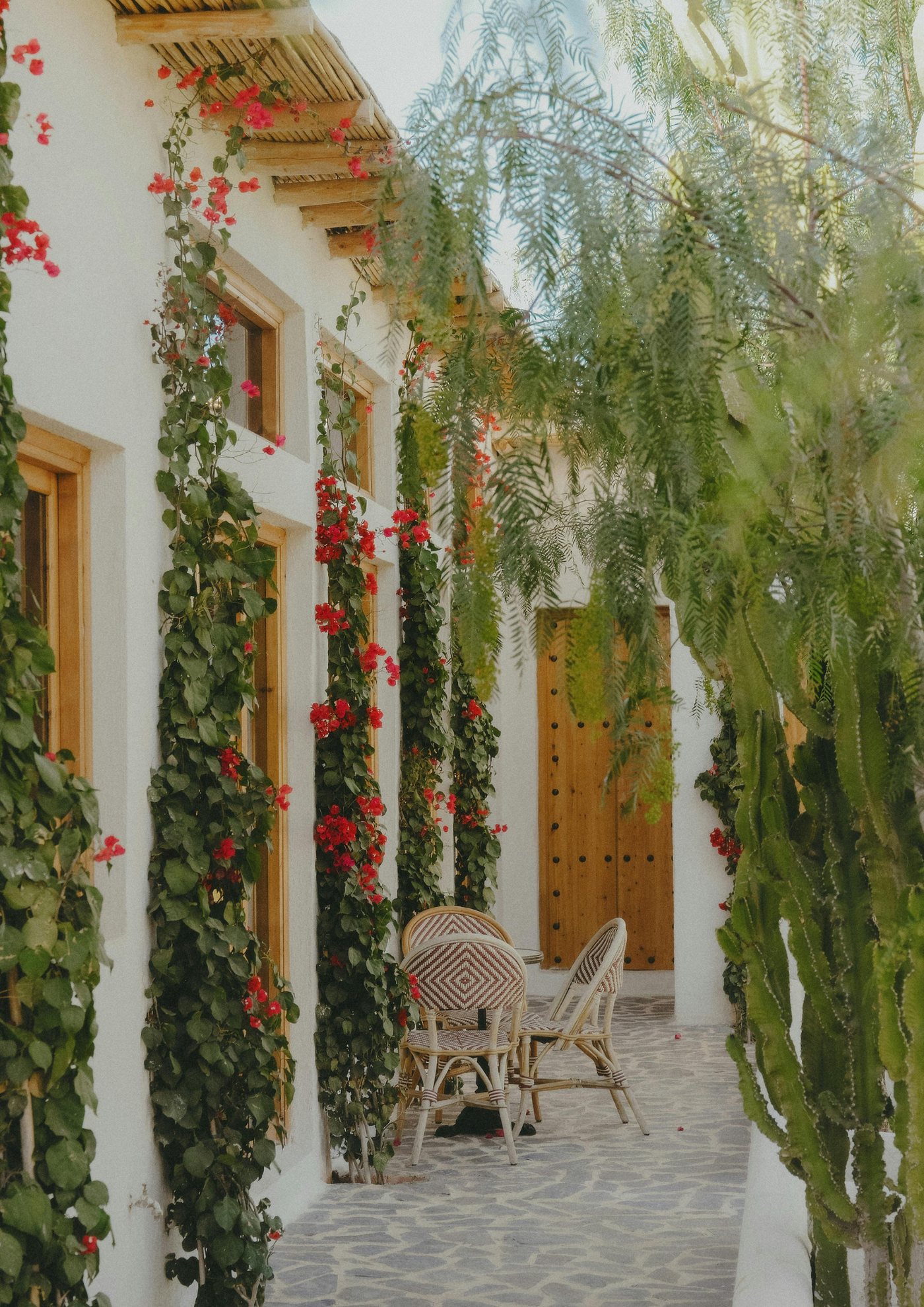 A whitewashed courtyard with bougainvillea, cane chairs and a wooden door.